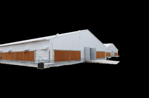 Broiler Poultry Prefab Houses Steel Structure Fully Automated Chicken Farming Equipment