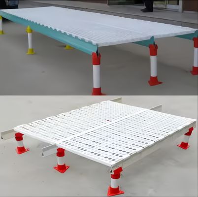 쉽게 청소 플라스틱 슬래트 바닥 닭집 사용자 정의 색상