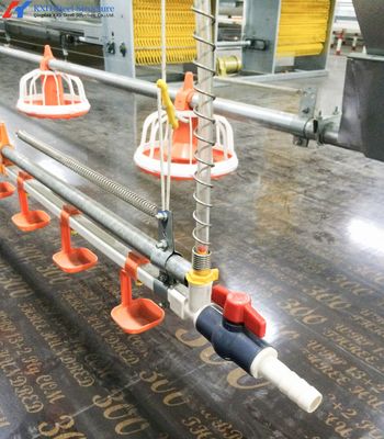 맞춤식 철강 닭고기 농장, 가벼운 철강 프레임 농장 건물