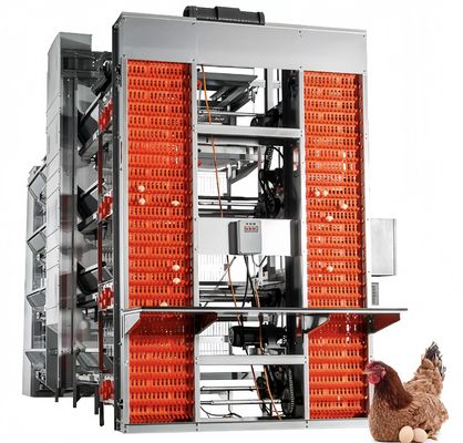A 타입 배터리 계층 닭고기 케이지 자동 닭고기 가축 재배 장비